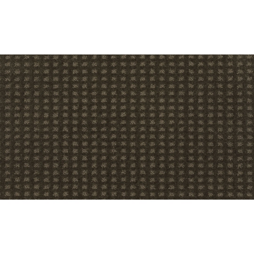 Popular Appearance in Cocoa