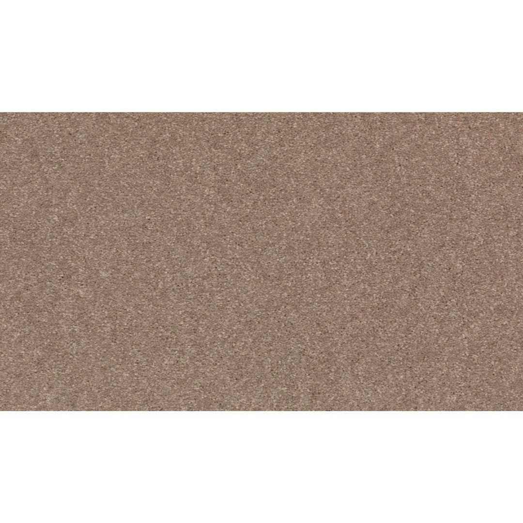 Radiant Tone in Timeless