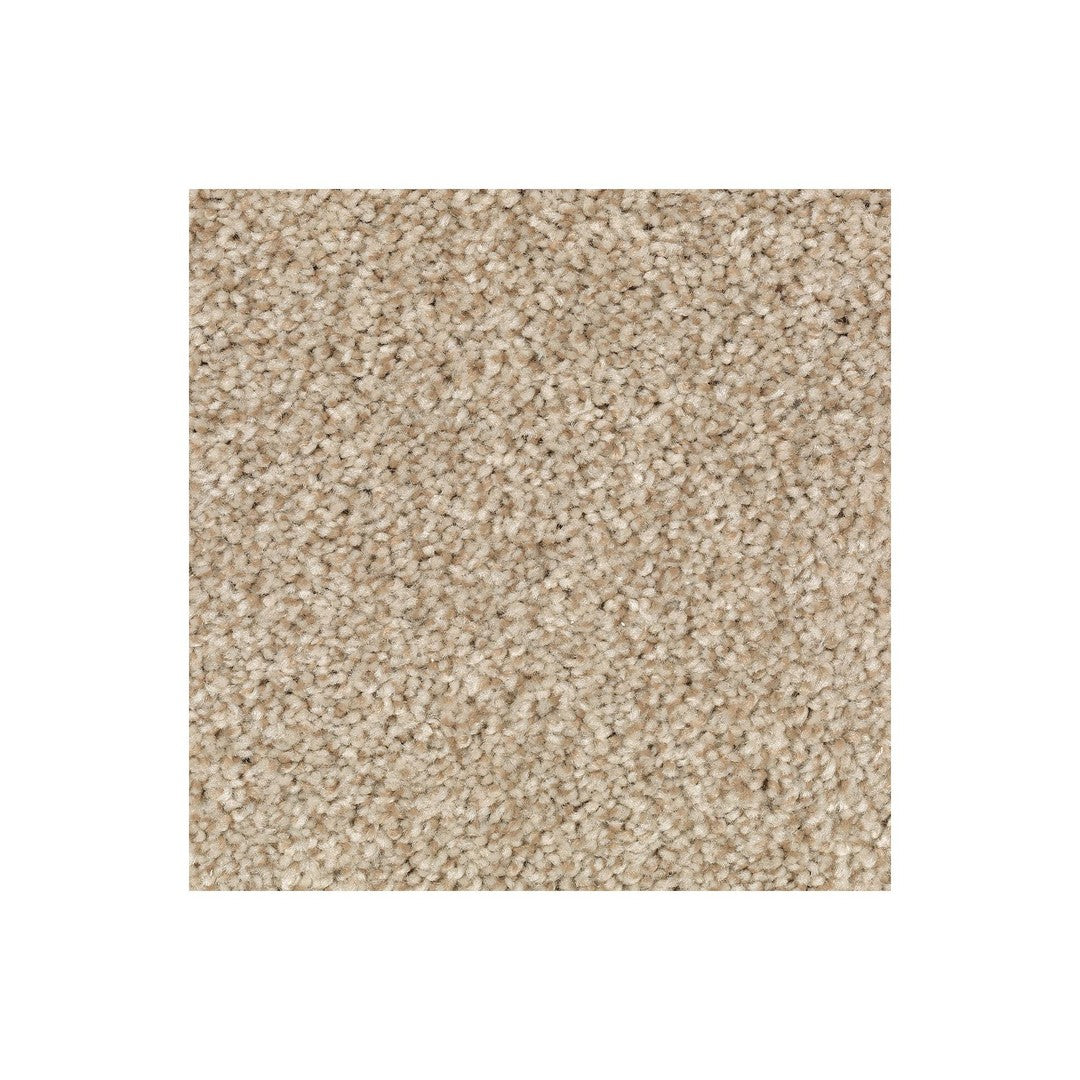 Natural Accents II in Kraft Paper