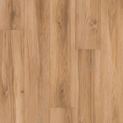 Restoration Collection® - Atlas in Canyon