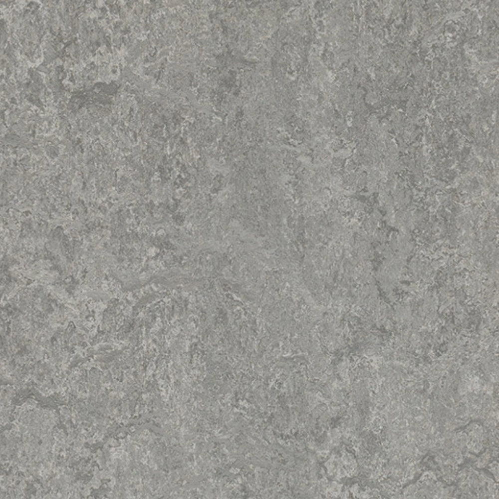 Marmoleum - Cinch Loc Seal in Serene Grey