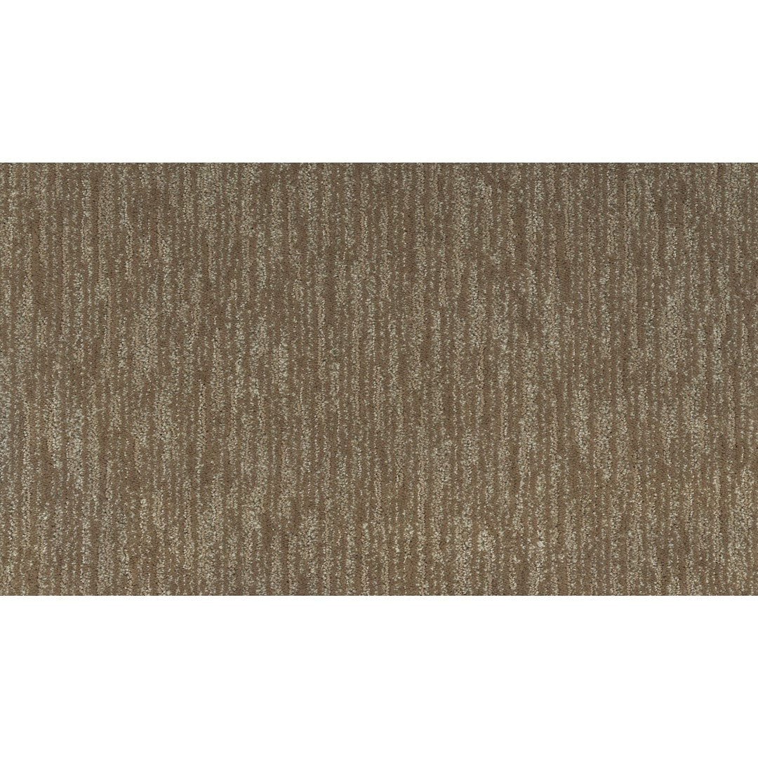 Enchanting Regard in Mushroom Cap