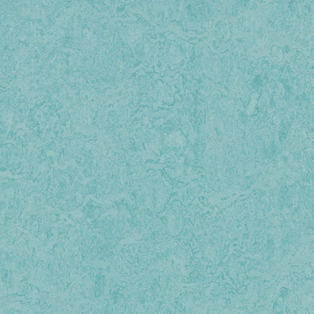 Marmoleum - Cinch Loc Seal in Aqua