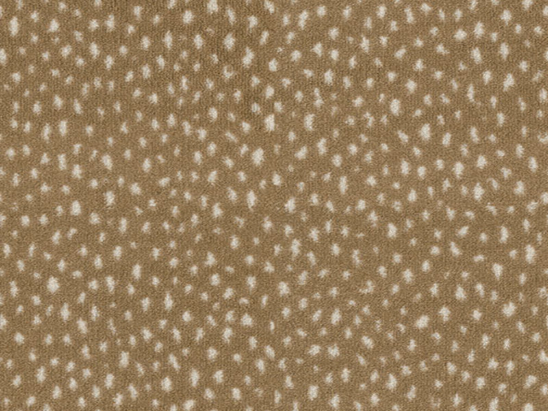 Imagine -  Exotic Escape - Dapple in Dapple Camel