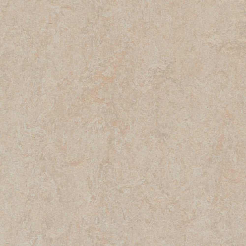 Marmoleum - Cinch Loc Seal in Silver Birch