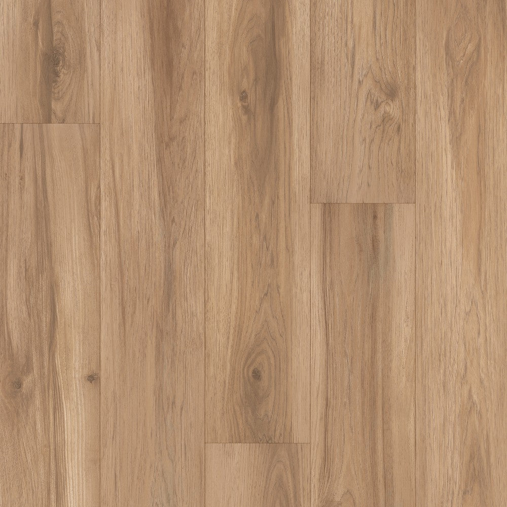 Restoration Collection® - Atlas in Trail