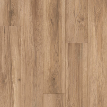 Restoration Collection® - Atlas in Trail