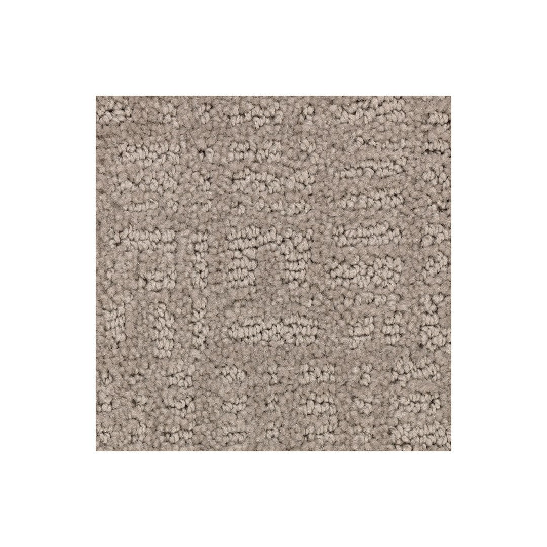 Sleek Luxury in Fallen Leaves