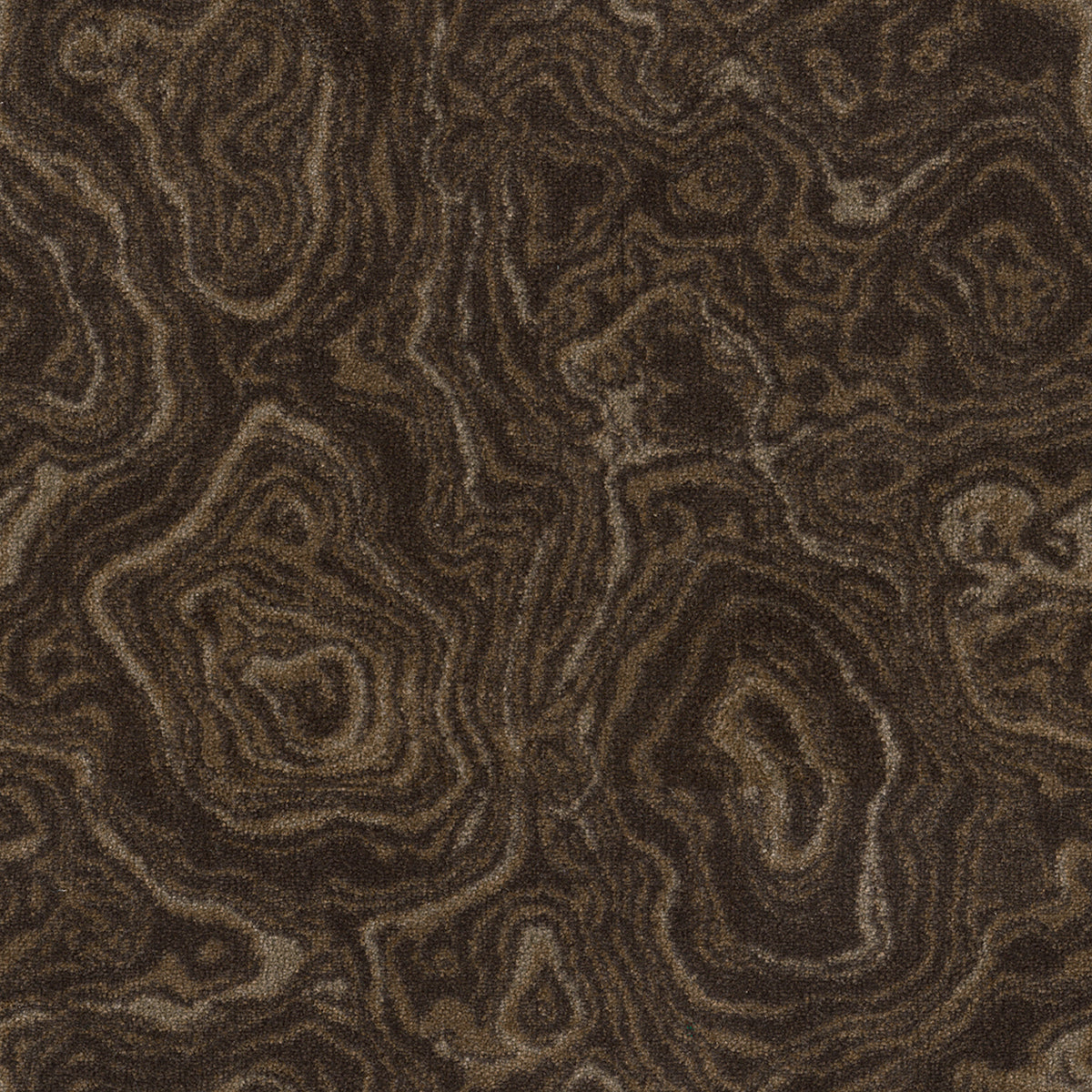 Imagine Figurative - Nature's Gem in Tiger Eye
