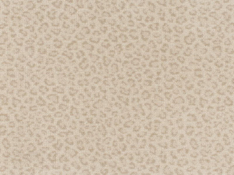 Imagine -  Exotic - Touch in Arabian Sand