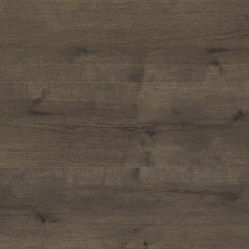 Artisan Elite in Bracken Hill Maple