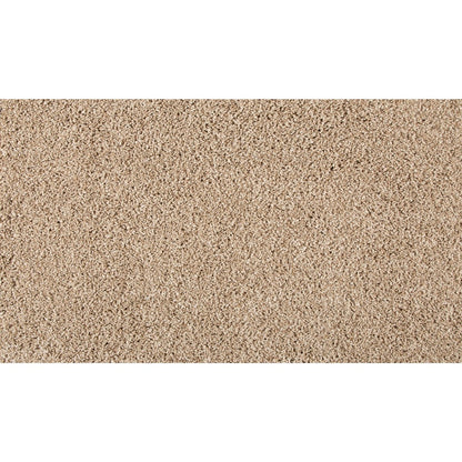 Essential Factors II in Coastal Sands