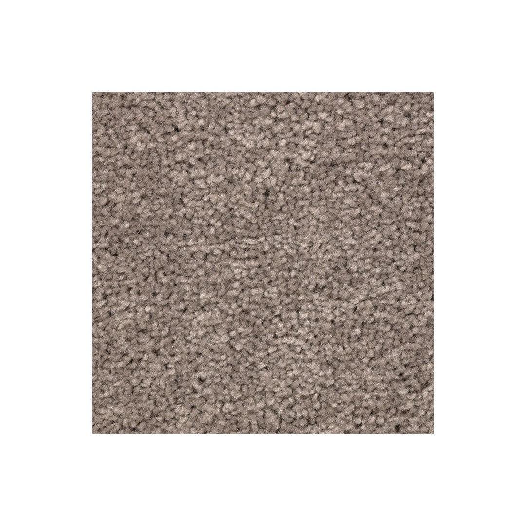 Vivid Instinct in Poised Taupe