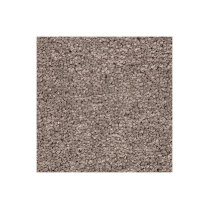 Vivid Instinct in Poised Taupe