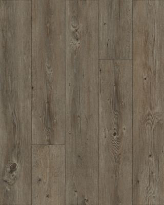 Pro Solutions II in Pine Crest