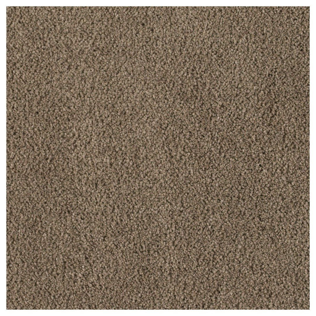 Soft Excellence in Rustic Splendor