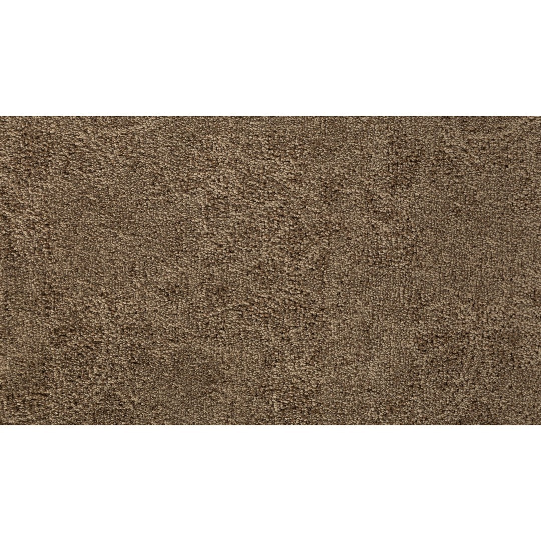 Graceful Balance in Gentle Fawn
