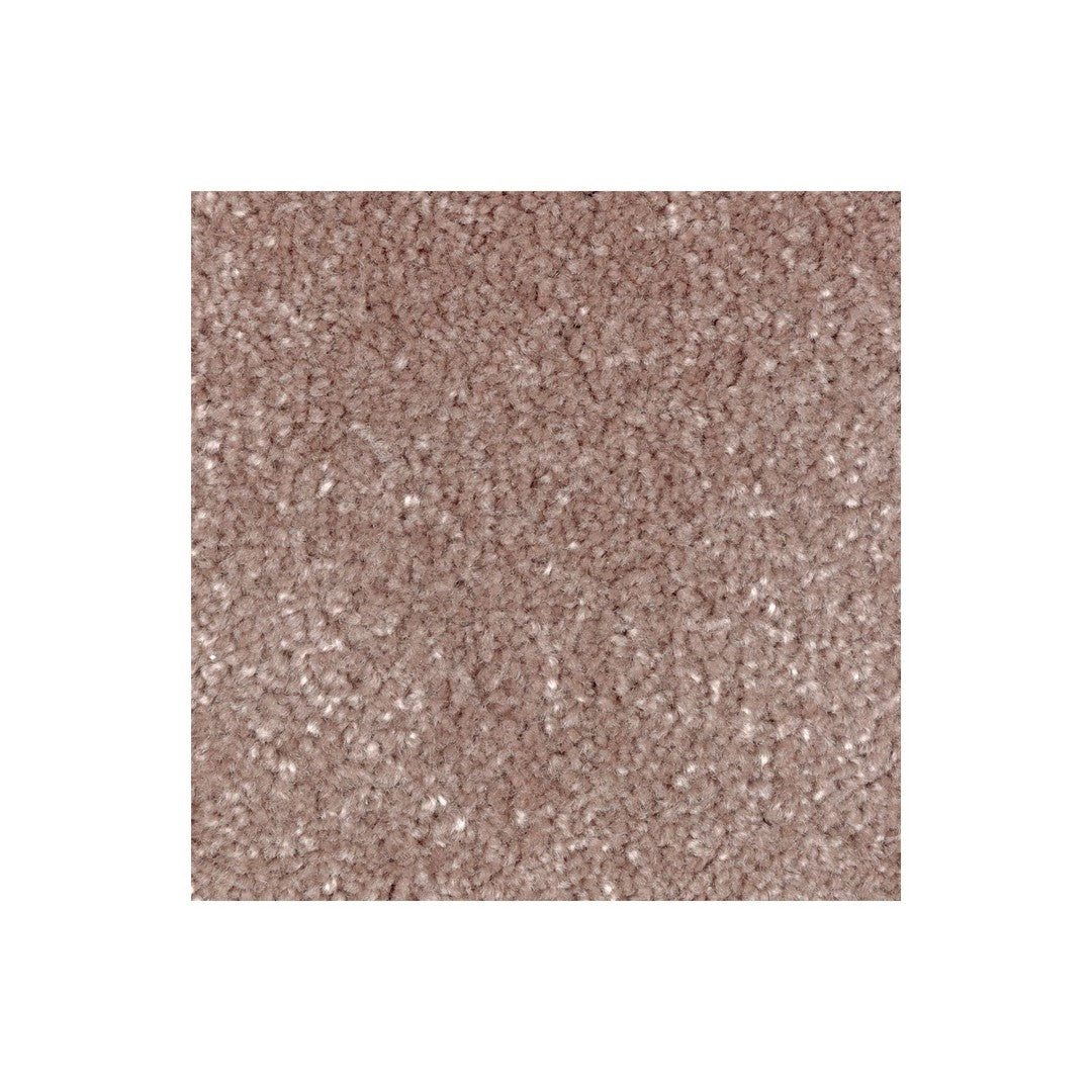 Creative Factor III in Cactus Rose