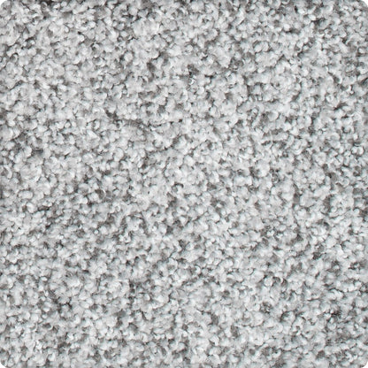 Fascinating Allure in January Frost